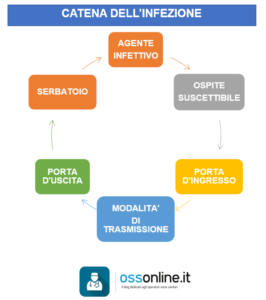catena dell'infezione
